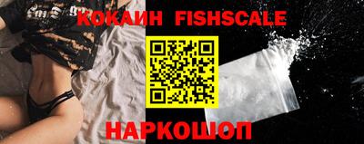 2c-b Кингисепп