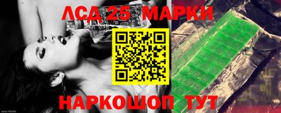 2c-b Кингисепп