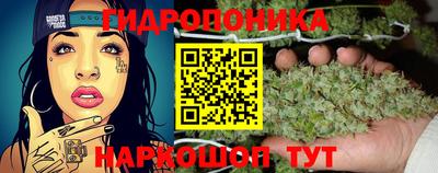 каннабис Кимры