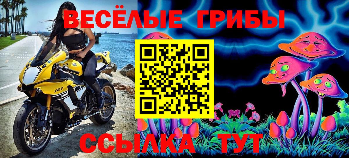 Галлюциногенные грибы мухоморы  магазин продажи наркотиков  Кудрово  Вход с VPN 